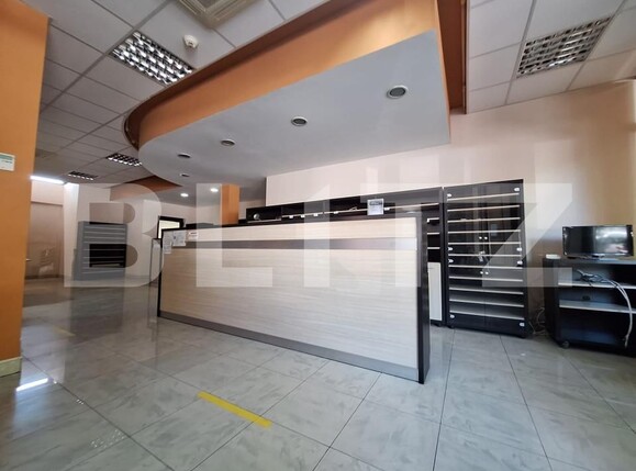 Spațiu birouri de închiriat Lipovei - 161838SIB | BLITZ Timișoara | Poza1