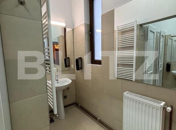 Casa de închiriat 5 camere Central - 161899CI | BLITZ Timișoara | Poza8