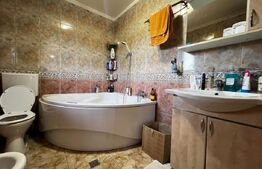 Casa de vanzare cu garaj si anexa, 298 mp, zona Mehala