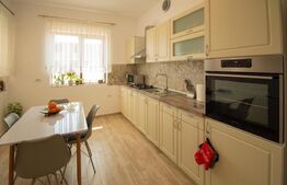 Duplex superb pe un nivel Dumbravita