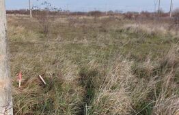 Teren de vanzare Mosnita Noua, 633 mp, front 30