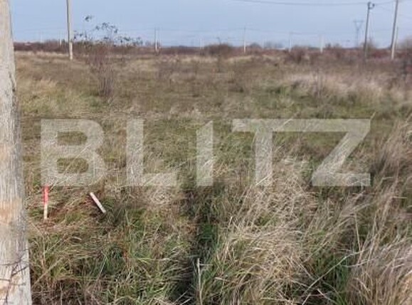 Teren de vânzare Mosnita Noua - 162935TV | BLITZ Timișoara | Poza3
