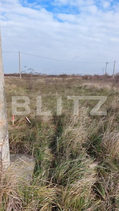 Teren de vânzare Mosnita Noua - 162935TV | BLITZ Timișoara | Poza3