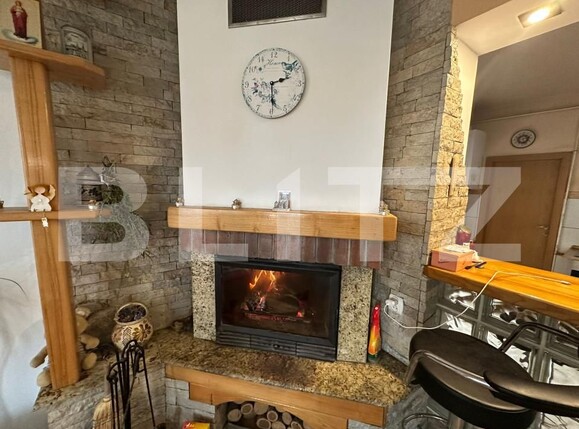 Casa de vânzare 5 camere Blascovici - 163034CV | BLITZ Timișoara | Poza4