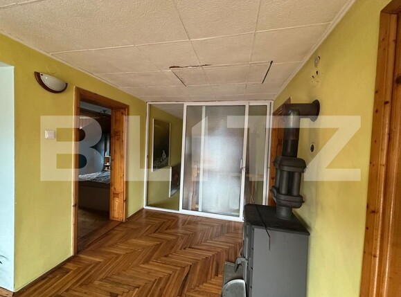 Casa de vânzare 5 camere Blascovici - 163034CV | BLITZ Timișoara | Poza6