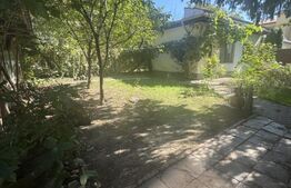 Apartamet 5 camere, 140 mp, terasa 60 mp, zona Balcescu