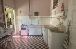 Apartamet 5 camere, 140 mp, terasa 60 mp, zona Balcescu