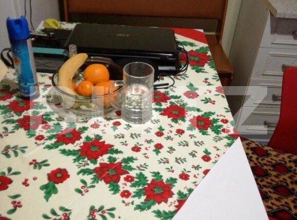 Apartament de vânzare 4 camere Dambovita - 163184AV | BLITZ Timișoara | Poza10