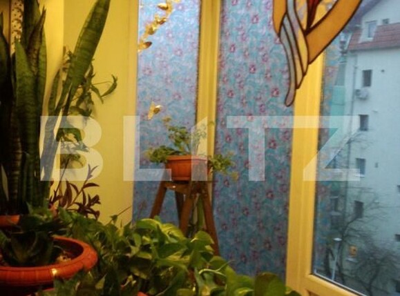 Apartament de vânzare 4 camere Dambovita - 163184AV | BLITZ Timișoara | Poza18