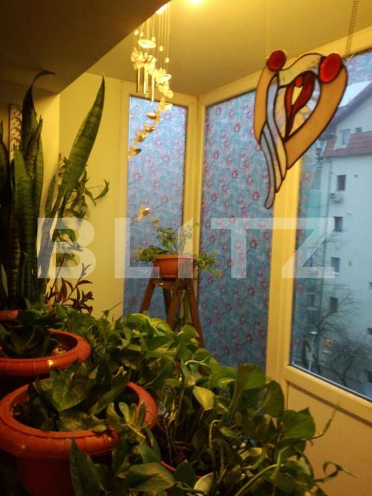 Apartament de vânzare 4 camere Dambovita - 163184AV | BLITZ Timișoara | Poza18