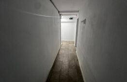 Spatiu comercial, 5 camere, 100mp, zona-Bd. Take Ionescu