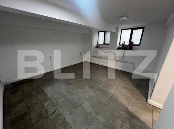 Spațiu comercial de vânzare Take Ionescu - 163307SVC | BLITZ Timișoara | Poza7