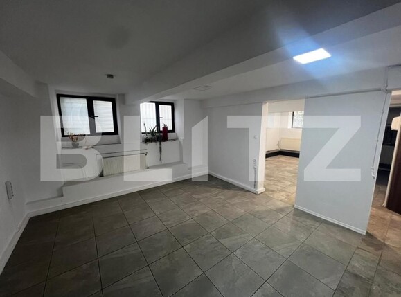 Spațiu comercial de vânzare Take Ionescu - 163307SVC | BLITZ Timișoara | Poza8