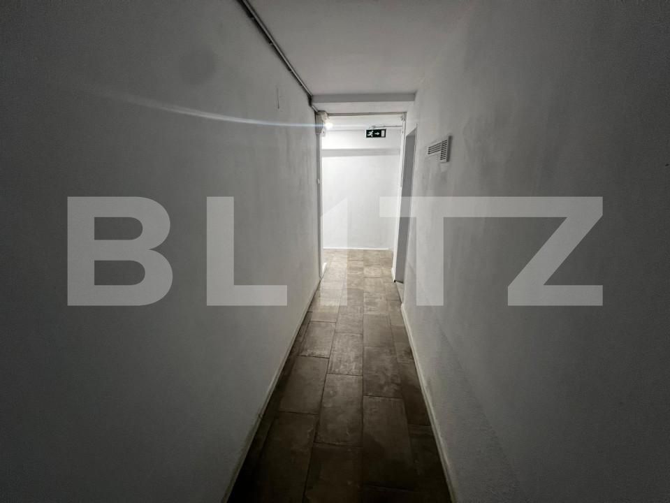 Spațiu comercial de vânzare Take Ionescu - 163307SVC | BLITZ Timișoara | Poza2