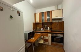 Apartament de 35 mp, zona Telegrafului/Timisoara