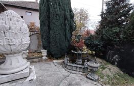 Casa cu 9 camere, SU=1000 mp, zona Balcescu