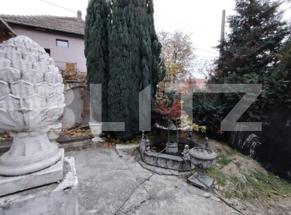 Casa de vânzare 9 camere Balcescu - 163423CV | BLITZ Timișoara | Poza1