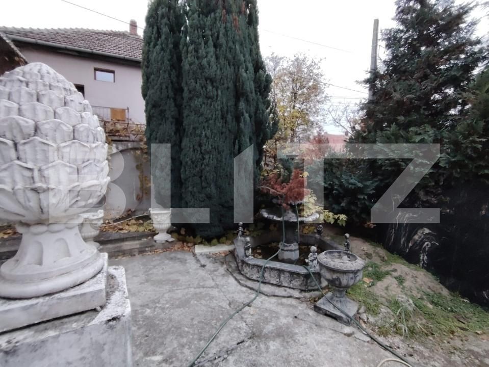 Casa de vânzare 9 camere Balcescu - 163423CV | BLITZ Timișoara | Poza1