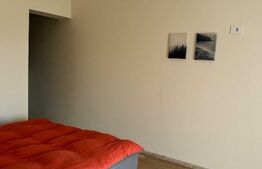 Casa vânzare Dumbrăvița lângă Pădure