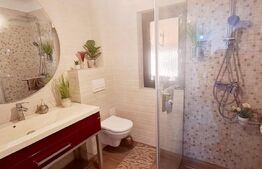 Casa individuală de lux în comuna Giroc