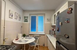 Apartament cu 2 camere, 48 mp, zona Take Ionescu