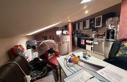 Casa stil Duplex P+M / SU=65.61mp / ST=237mp , Sag