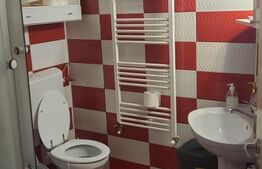 Casa stil Duplex P+M / SU=65.61mp / ST=237mp , Sag