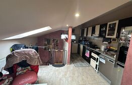 Casa stil Duplex P+M / SU=65.61mp / ST=237mp , Sag