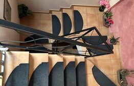 Casa stil Duplex P+M / SU=65.61mp / ST=237mp , Sag