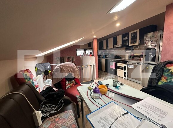 Casa de vânzare 2 camere Sag - 163556CV | BLITZ Timișoara | Poza6