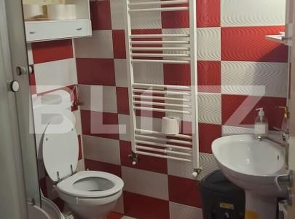 Casa de vânzare 2 camere Sag - 163556CV | BLITZ Timișoara | Poza9