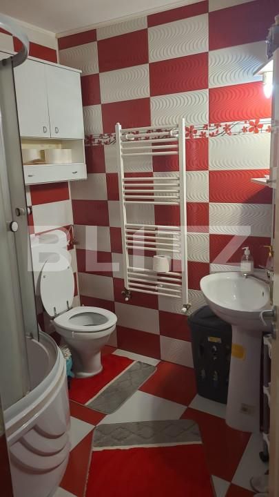 Casa de vânzare 2 camere Sag - 163556CV | BLITZ Timișoara | Poza9