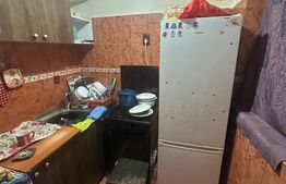 Garsoniera 22 mp, parter, zona Buziasului