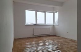 Vila, cazare muncitori, 11-15 camere, 11 bai,  600 mp, zona Mehala-Timisoara