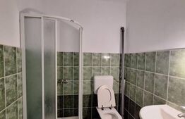 Vila, cazare muncitori, 11-15 camere, 11 bai,  600 mp, zona Mehala-Timisoara