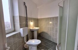 Vila, cazare muncitori, 11-15 camere, 11 bai,  600 mp, zona Mehala-Timisoara