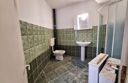 Vila, cazare muncitori, 11-15 camere, 11 bai,  600 mp, zona Mehala-Timisoara