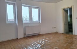 Vila, cazare muncitori, 11-15 camere, 11 bai,  600 mp, zona Mehala-Timisoara