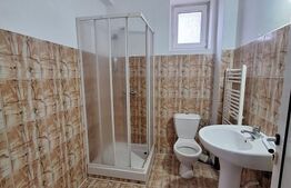 Vila, cazare muncitori, 11-15 camere, 11 bai,  600 mp, zona Mehala-Timisoara