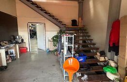 Hala de vanzare 365 mp, Mosnita Noua!