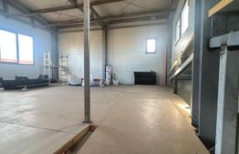 Hala de vanzare 365 mp, Mosnita Noua!