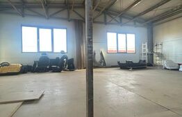 Hala de vanzare 365 mp, Mosnita Noua!