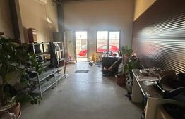 Hala de vanzare 365 mp, Mosnita Noua!