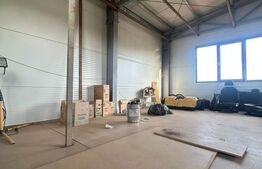 Hala de vanzare 365 mp, Mosnita Noua!