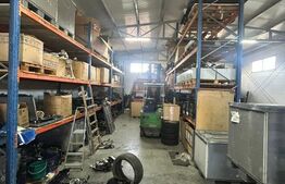 Hala de vanzare 365 mp, Mosnita Noua!