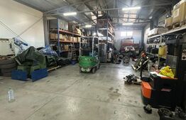 Hala de vanzare 365 mp, Mosnita Noua!