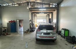 Hala de vanzare 365 mp, Mosnita Noua!