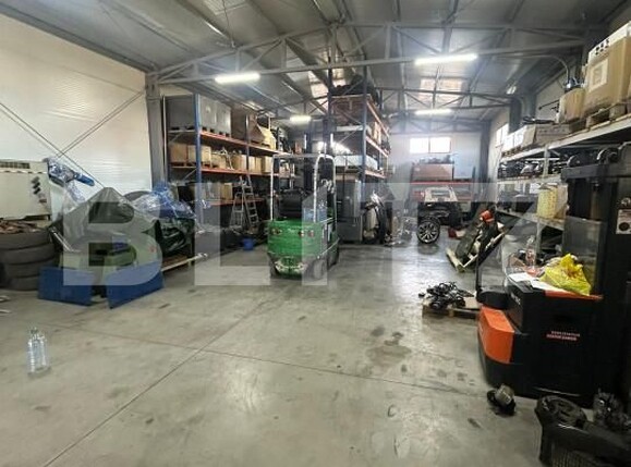 Spațiu industrial de vânzare Mosnita Noua - 163848SVI | BLITZ Timișoara | Poza7