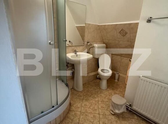 Casa de închiriat 10 camere Spitalul Judetean - 164096CI | BLITZ Timișoara | Poza13