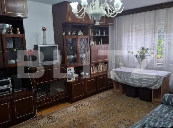 Apartament de vânzare 2 camere Baba-Dochia - 164117AV | BLITZ Timișoara | Poza1